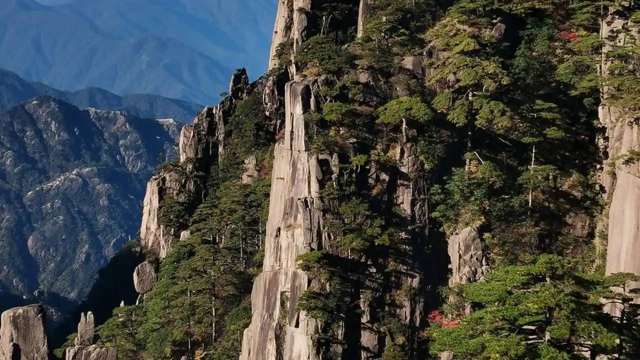 成人A片199C.CC截图4
